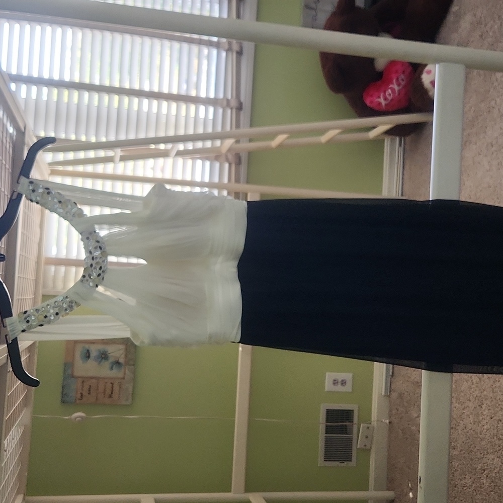 Formal/ cocktail dress.
